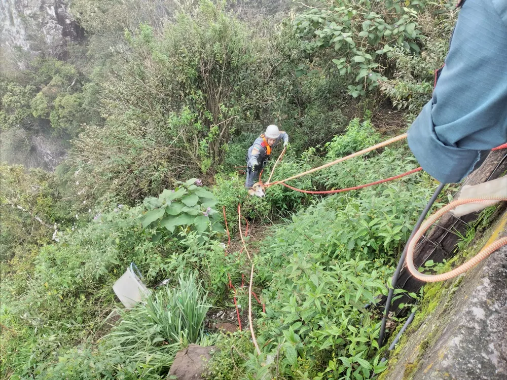Cachorro cai de penhasco de 10 metros e é resgatado pelos bombeiros na Serra de SC Cachorro cai de penhasco de 10 metros e é resgatado pelos bombeiros na Serra de SC
