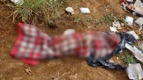 Executor de vítima encontrada desmembrada em lixão de Anápolis é preso Executor de vítima encontrada desmembrada em lixão de Anápolis é preso