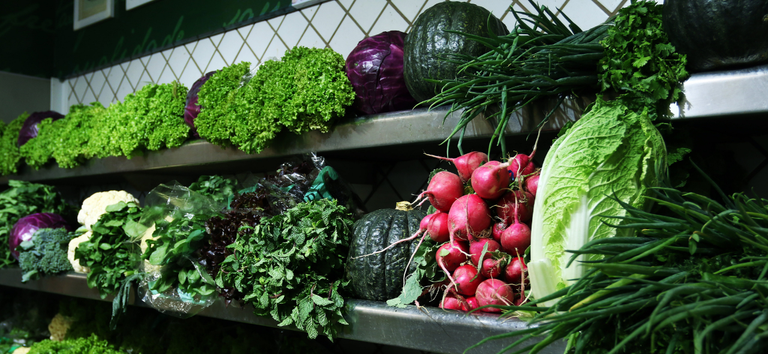 SUS realizou quase 30 milhões de atendimentos nutricionais na Atenção Primária SUS realizou quase 30 milhões de atendimentos nutricionais na Atenção Primária