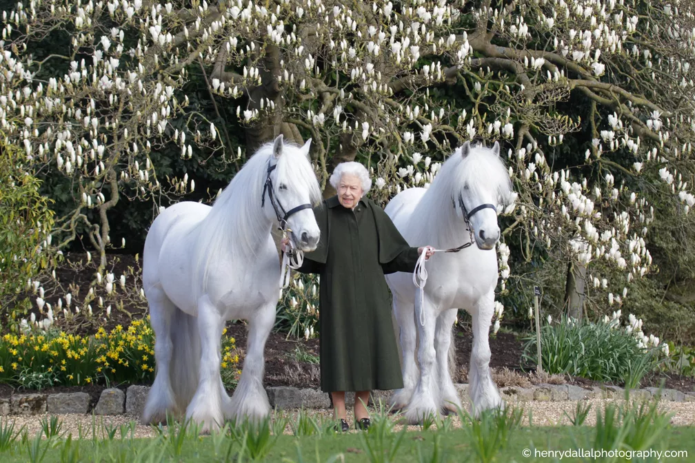 Em comemoração ao 96º aniversário de Elizabeth II, monarquia britânica divulga foto da rainha com dois pôneis Em comemoração ao 96º aniversário de Elizabeth II, monarquia britânica divulga foto da rainha com dois pôneis
