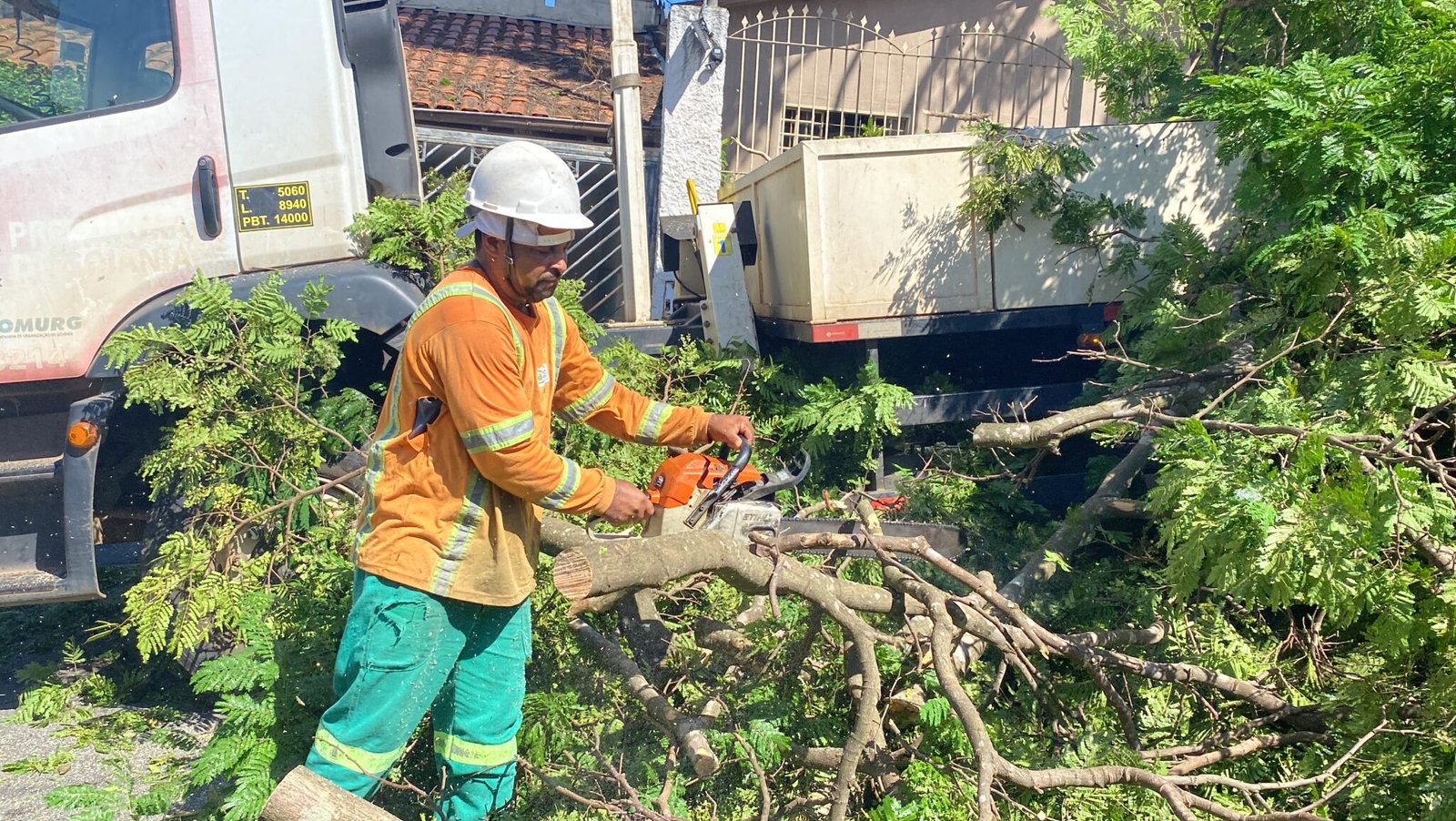 Prefeitura remove 48 árvores e 52 galhos que caíram devido às fortes chuvas Prefeitura remove 48 árvores e 52 galhos que caíram devido às fortes chuvas