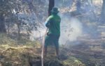 Amma reforça ações preventivas e alerta sobre riscos de queimadas com chegada da seca