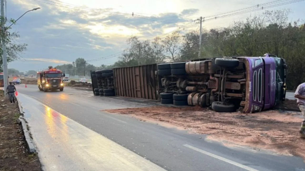 Caminhão que transportava gado tomba na Avenida Perimetral Norte, em Goiânia Caminhão que transportava gado tomba na Avenida Perimetral Norte, em Goiânia