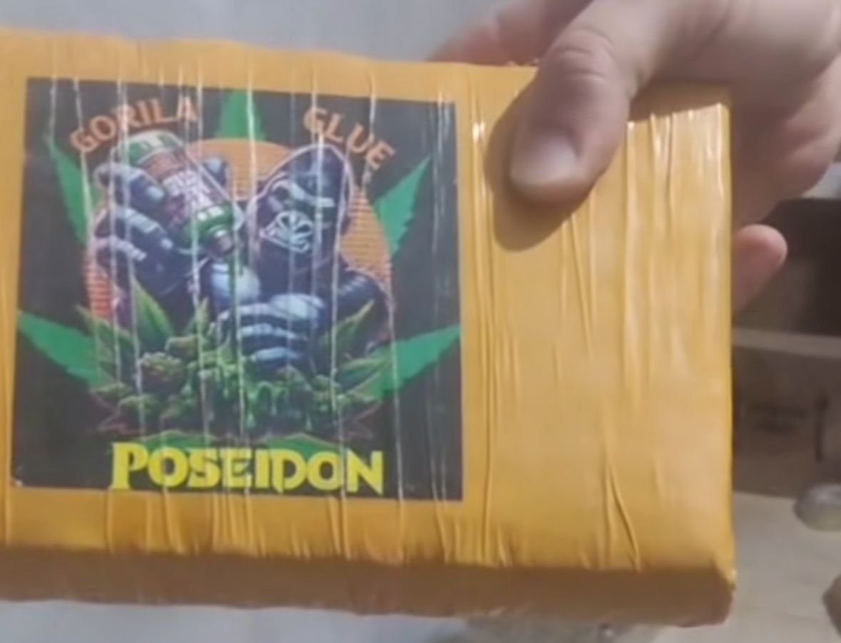 Ação da PM resulta na apreensão de 50 kg de drogas em Aparecida de Goiânia Ação da PM resulta na apreensão de 50 kg de drogas em Aparecida de Goiânia