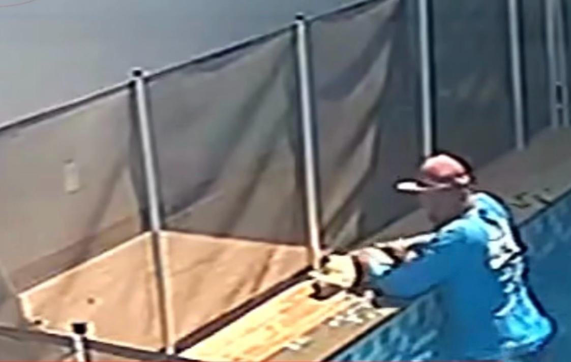 Piscineiro resgata cãozinho que se afogava, em Goiânia Piscineiro resgata cãozinho que se afogava, em Goiânia